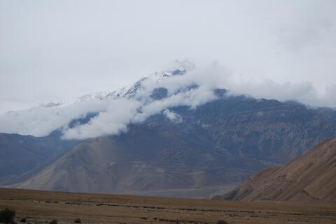 nilgiri himalaya